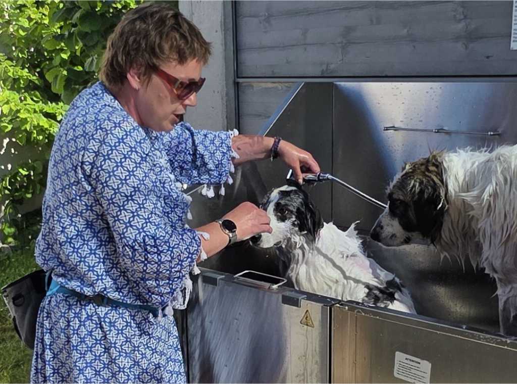 Impressionen_hundedusche